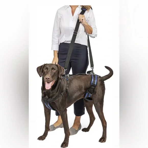 🆕 [PetSafe] CareLift Handicapped Support Dog Harness Sz: Large - Picture 7 of 7